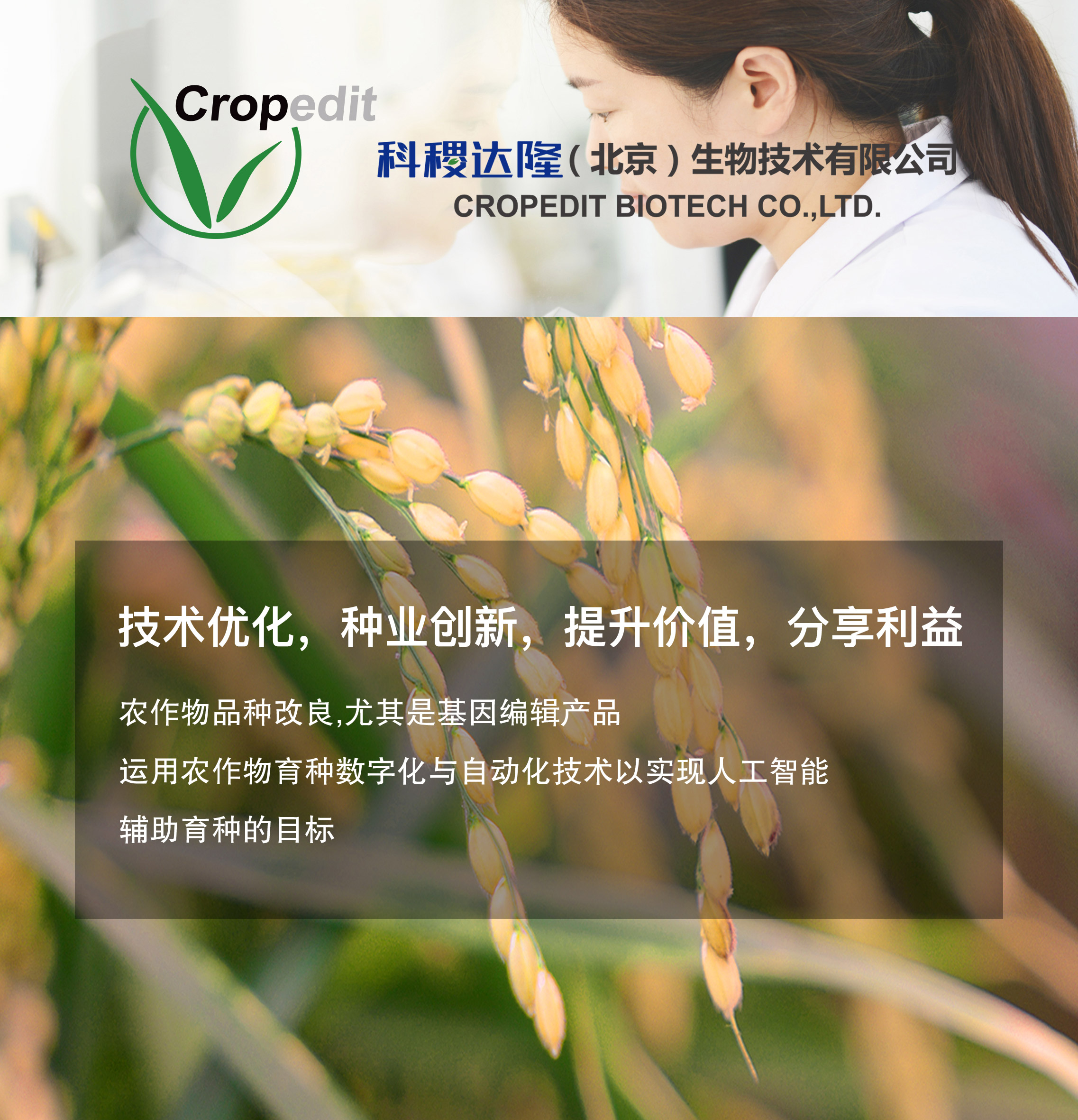 科稷达隆_南宫NG28