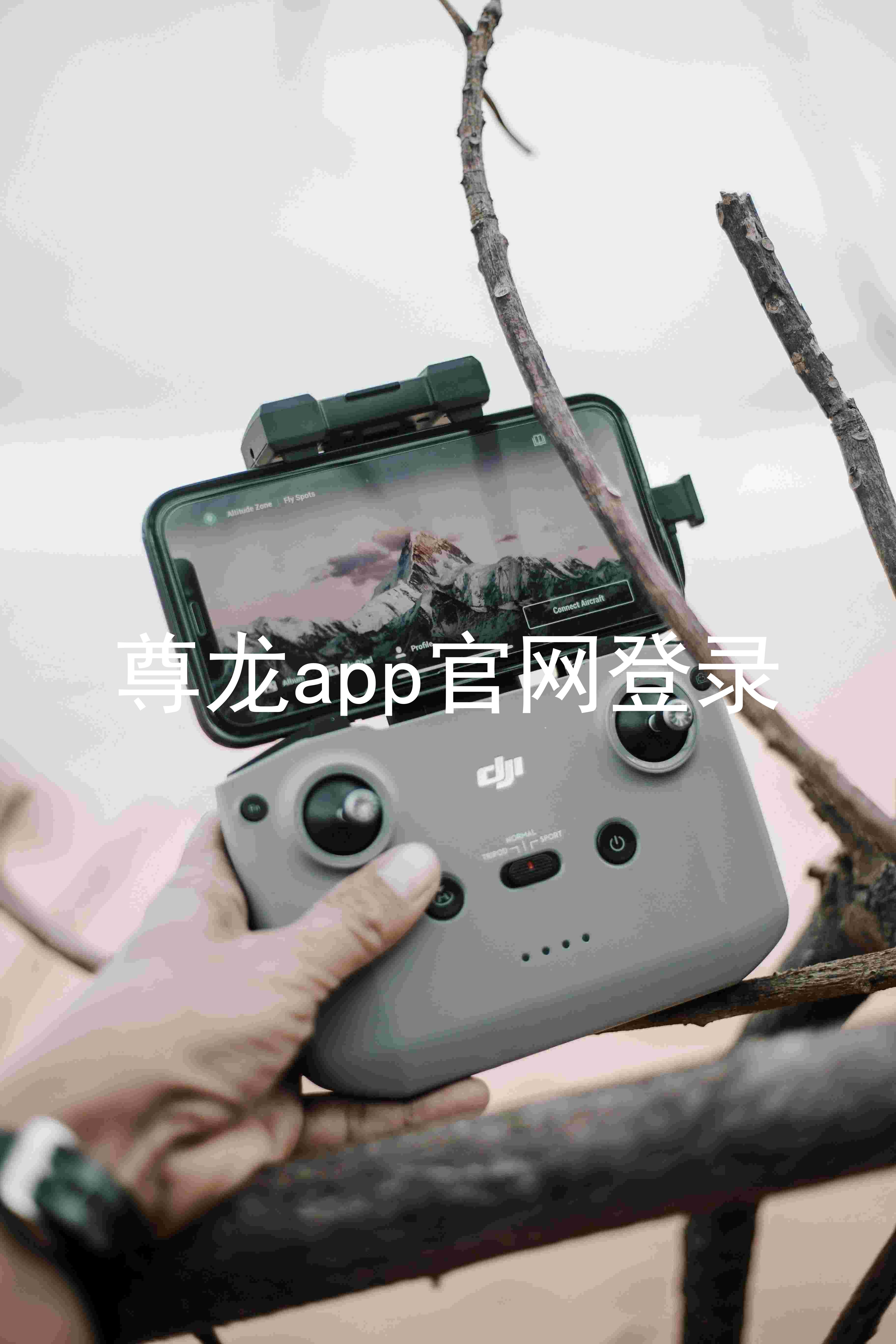 尊龙app官网登录