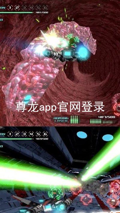 尊龙app官网登录