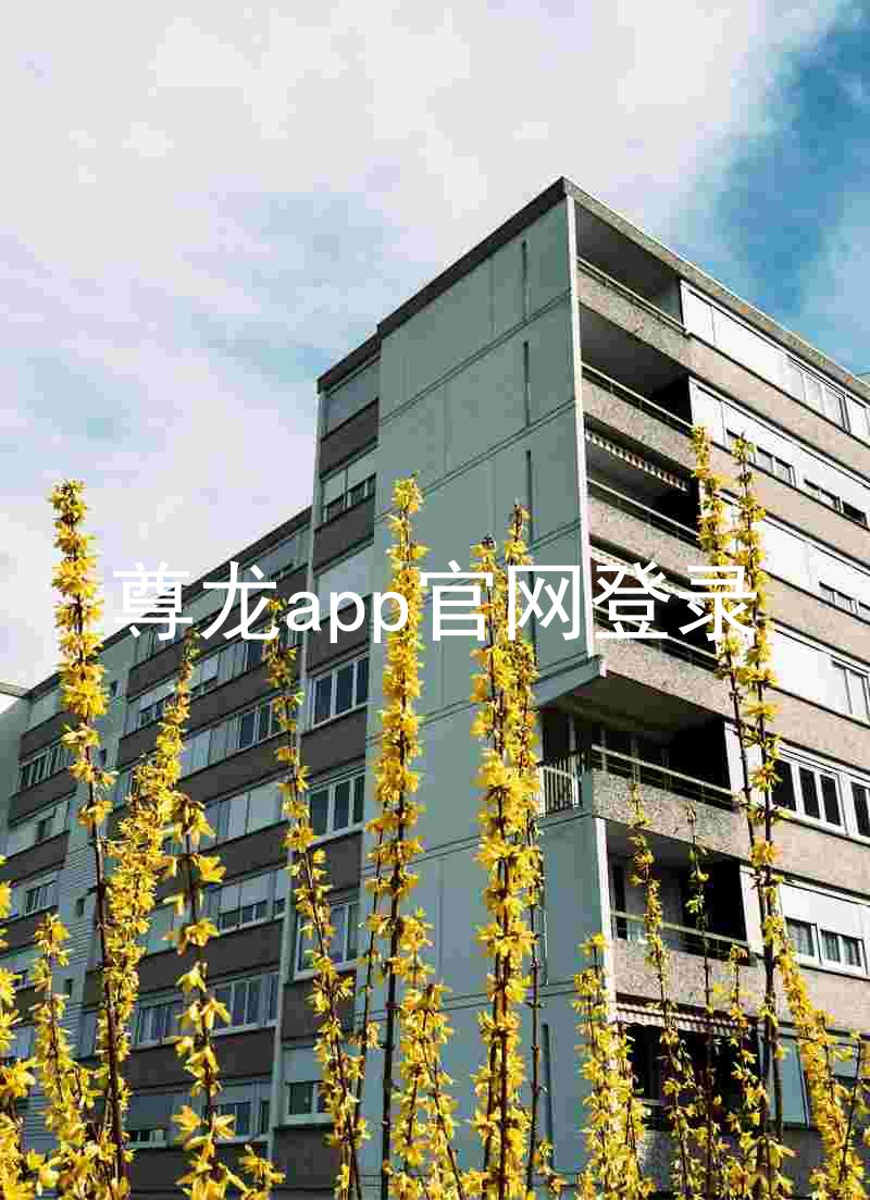尊龙app官网登录
