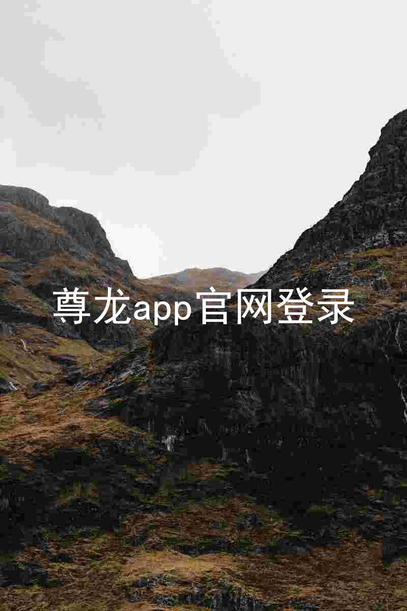 尊龙app官网登录