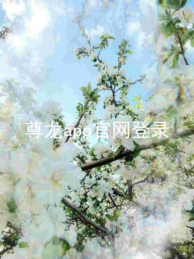 尊龙app官网登录