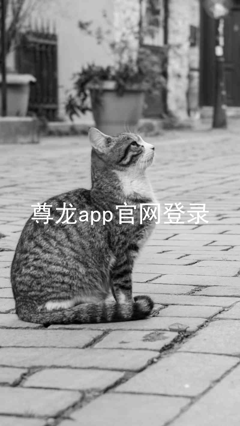 尊龙app官网登录